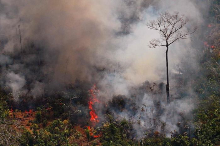 La deforestación en la Amazonía brasileña alcanza su máximo en los últimos 15 años