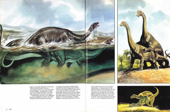 "Un temible dragón": así describen al dinosaurio volador descubierto en Australia