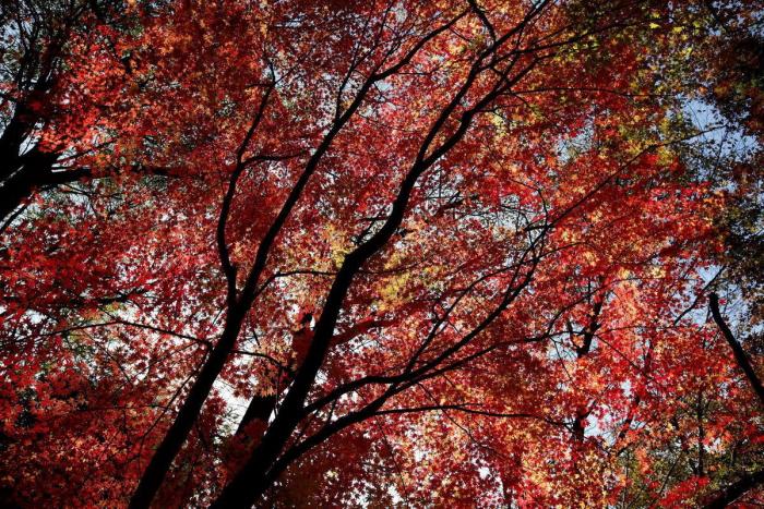 Los mejores parques naturales de España para visitar este otoño