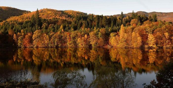 Siete bosques mágicos que visitar este otoño sin salir de España