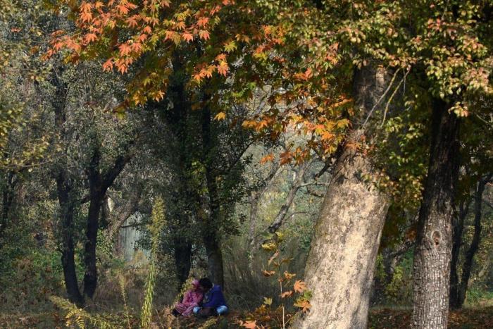 Los mejores parques naturales de España para visitar este otoño