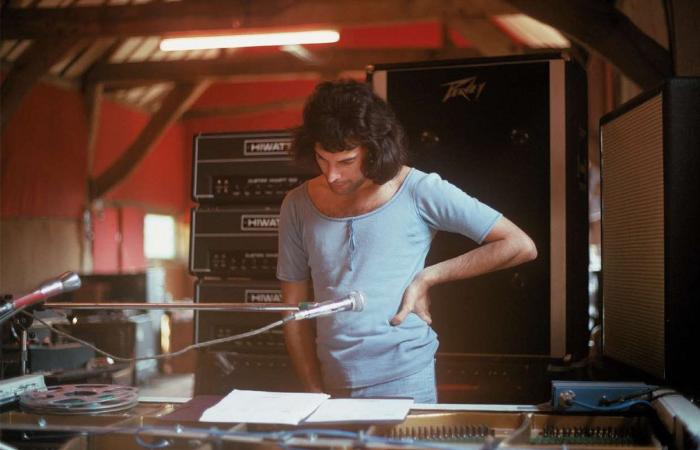 Brian May, guitarrista de 'Queen', hospitalizado tras destrozarse los glúteos haciendo jardinería