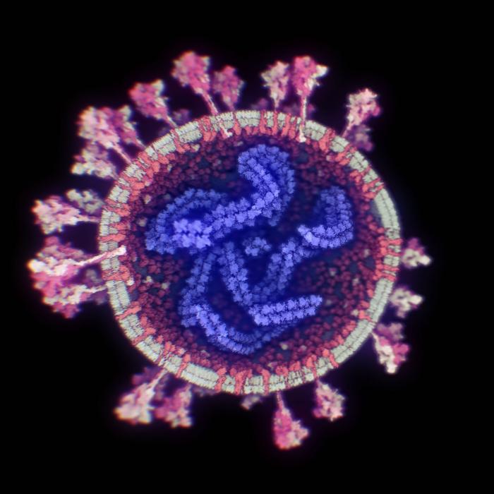 El gran virólogo alemán lo tiene claro: da la fecha en la que España podría superar la pandemia