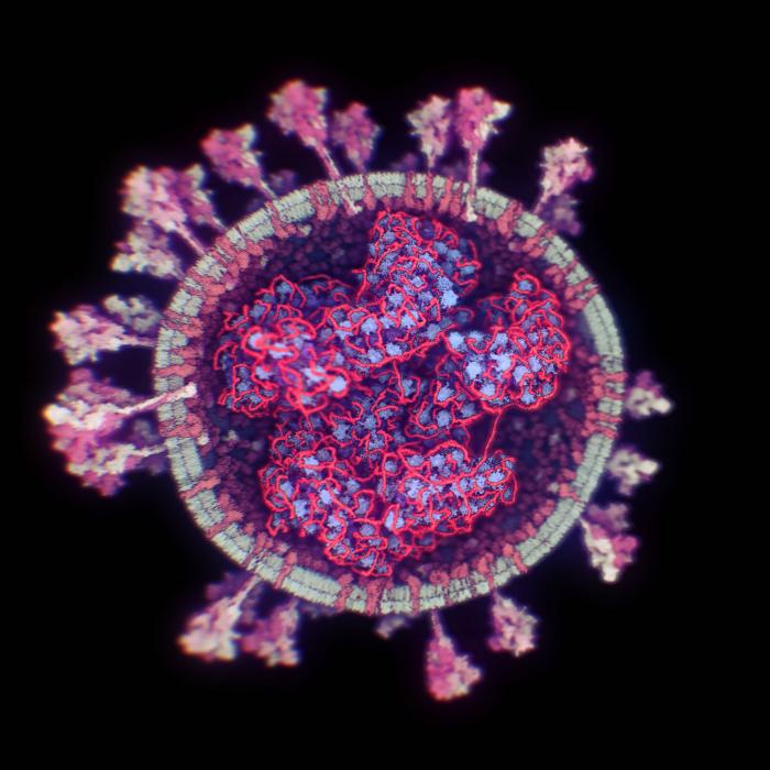 4 mitos sobre las nuevas variantes del coronavirus que no debes creerte