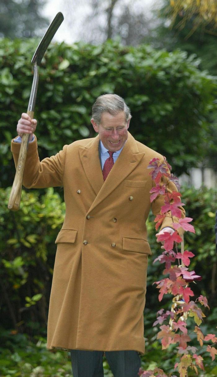 El príncipe Carlos de Inglaterra aceptó bolsas llenas de dinero del ex primer ministro de Catar