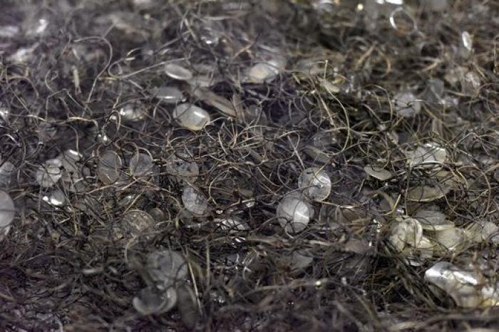 Siete décadas después, descubren joyas en el fondo oculto de una taza de Auschwitz