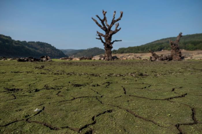 Pozos ilegales, falta de gestión y derroche: la sequía es algo más que la falta de lluvia