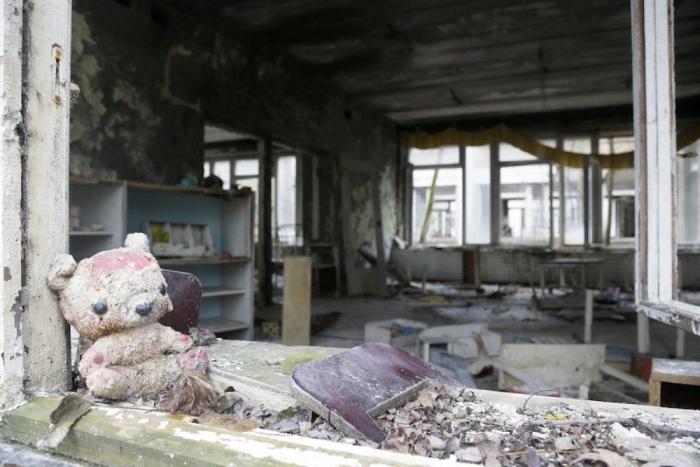 30 años después del desastre de Chernóbil, los dueños de la tierra son los animales