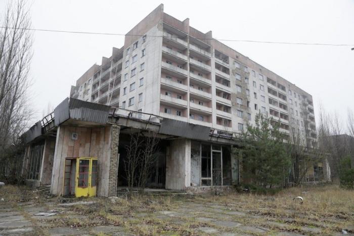 30 años después del desastre de Chernóbil, los dueños de la tierra son los animales