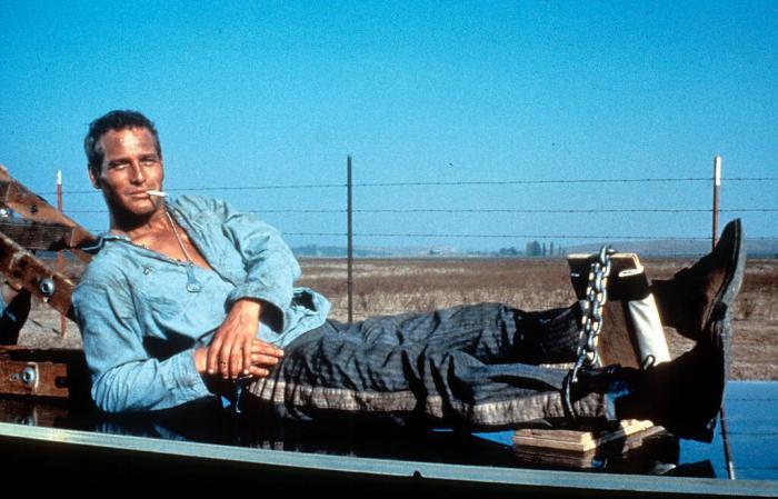 25 fotos que demuestran que Paul Newman es el hombre más guapo del mundo