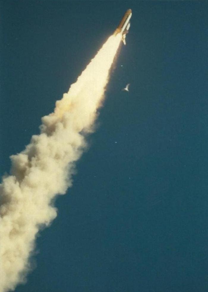 Aparecen imágenes nunca vistas de la tragedia del Challenger (FOTOS)