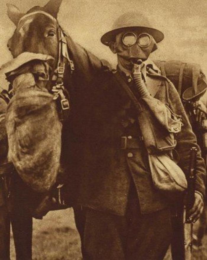20 increíbles imágenes de animales en la Primera Guerra Mundial (FOTOS)