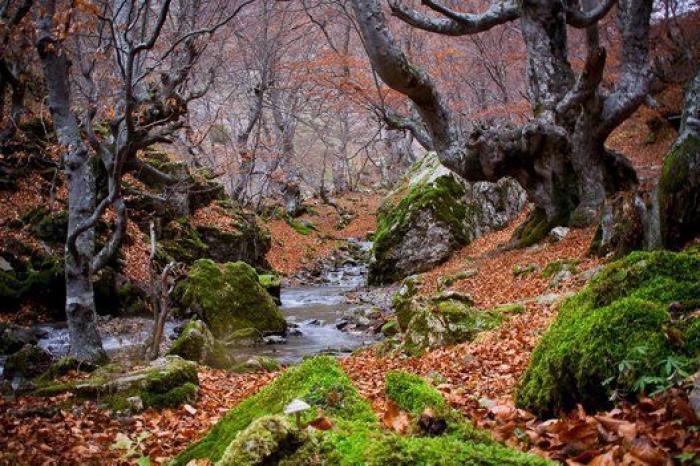 10 paisajes para disfrutar del otoño sin salir de España (FOTOS)
