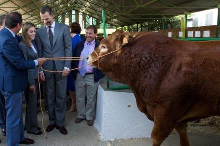 Feria de Zafra: los reyes Felipe y Letizia hacen su primera visita oficial a Extremadura entre ganado