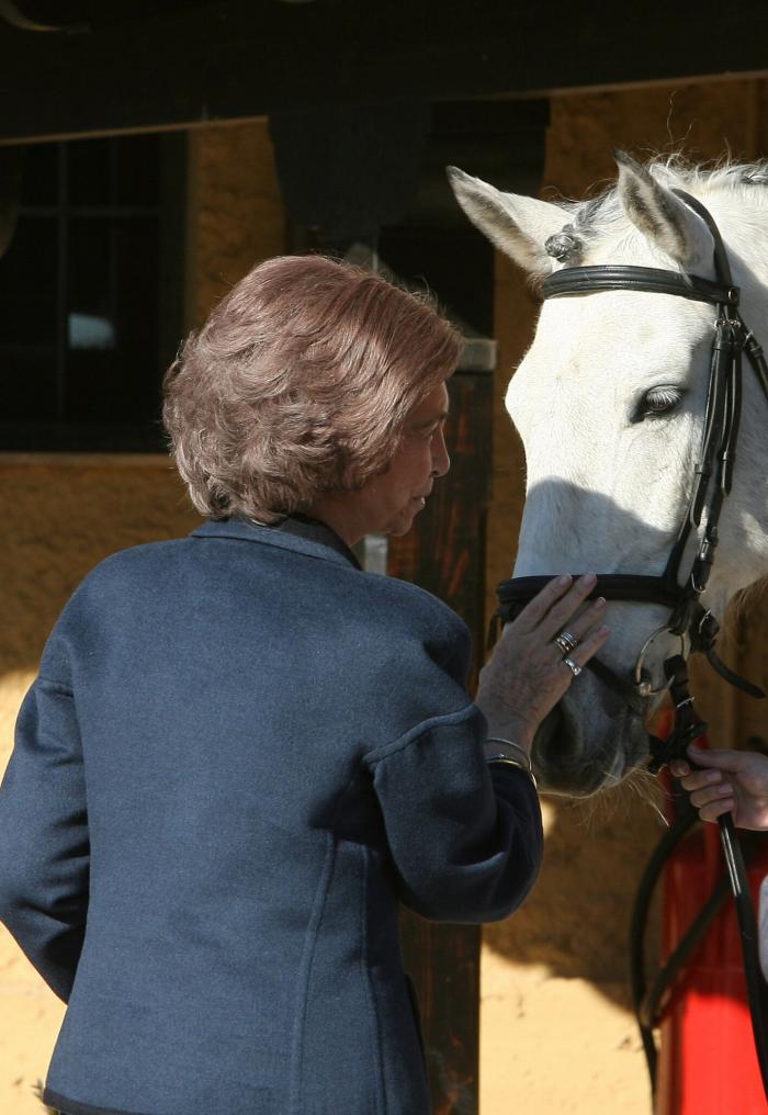 Un desalmado hace tragar cava a un caballo tras ganar con él una carrera en Mallorca