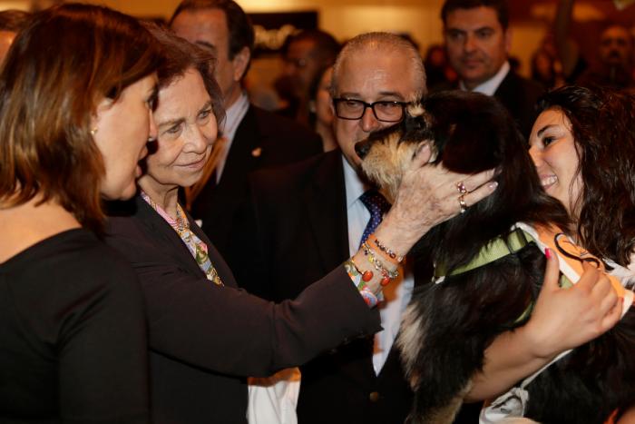 La reina Sofía reaparece en Mallorca tras la salida del rey Juan Carlos
