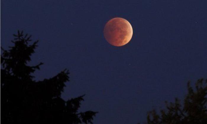 Luna Roja de octubre: 15 imágenes del fenómeno que nos perdimos en España (FOTOS, VÍDEO)