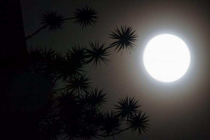 'Anillo de fuego': eclipse solar el 29 de abril (FOTOS)