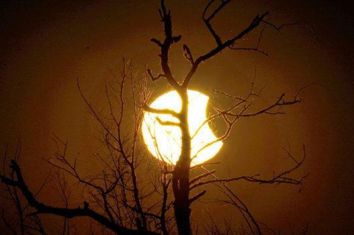 Eclipse parcial de Sol en EEUU: cuando la Luna invadió el astro rey (FOTOS)