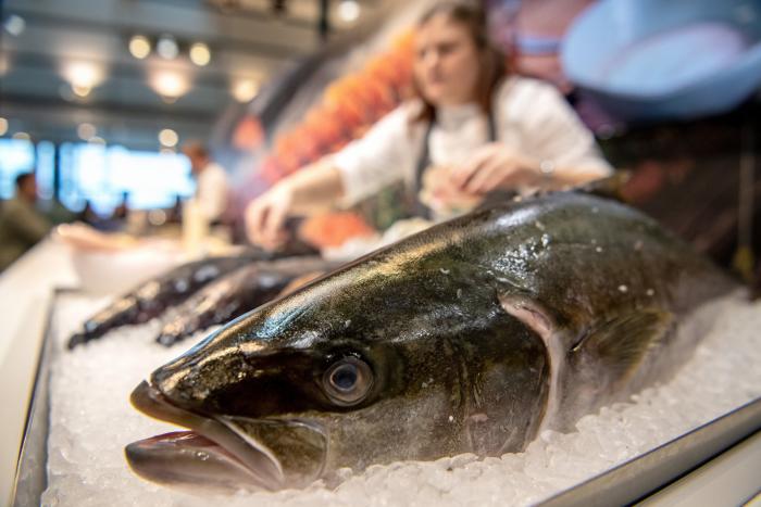 Bruselas cierra el acuerdo de cuotas pesqueras y España pierde un 8% en la merluza sur