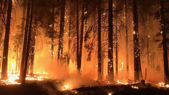 Las devastadoras imágenes que deja el fuego en California