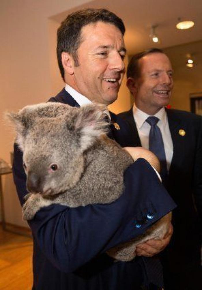 ¿Qué tendrá el koala? Líderes políticos de todo el mundo se posan con él (FOTOS)