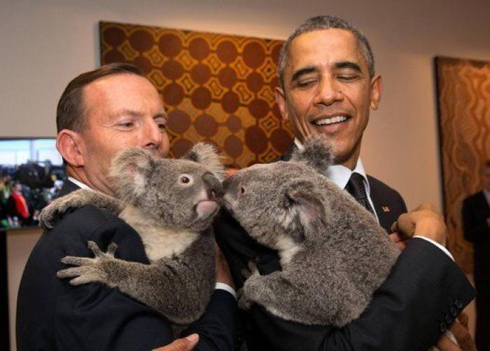 ¿Qué tendrá el koala? Líderes políticos de todo el mundo se posan con él (FOTOS)
