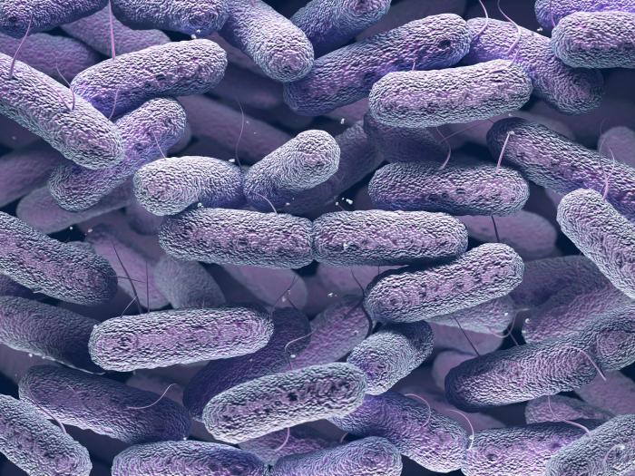 La resistencia a los antibióticos aumentará tras la pandemia: estas son las consecuencias