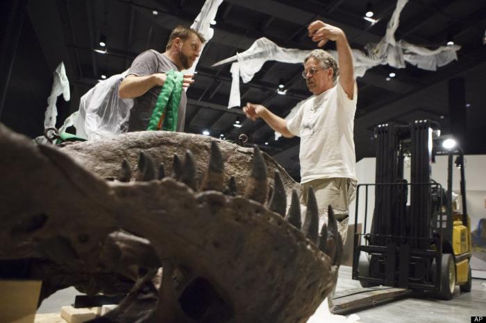 El 'Chilesaurus', el "eslabón perdido" en la evolución de los dinosaurios