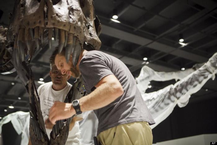 El 'Chilesaurus', el "eslabón perdido" en la evolución de los dinosaurios