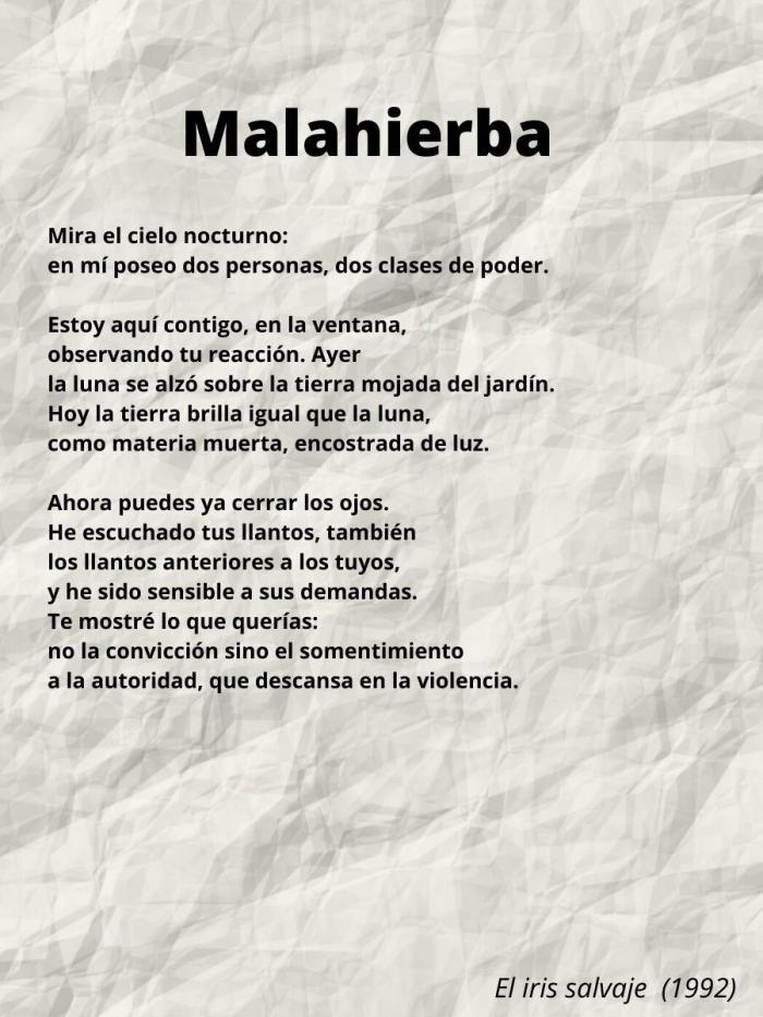 Alba Cid, Premio Nacional de Poesía Joven 'Miguel Hernández' 2020