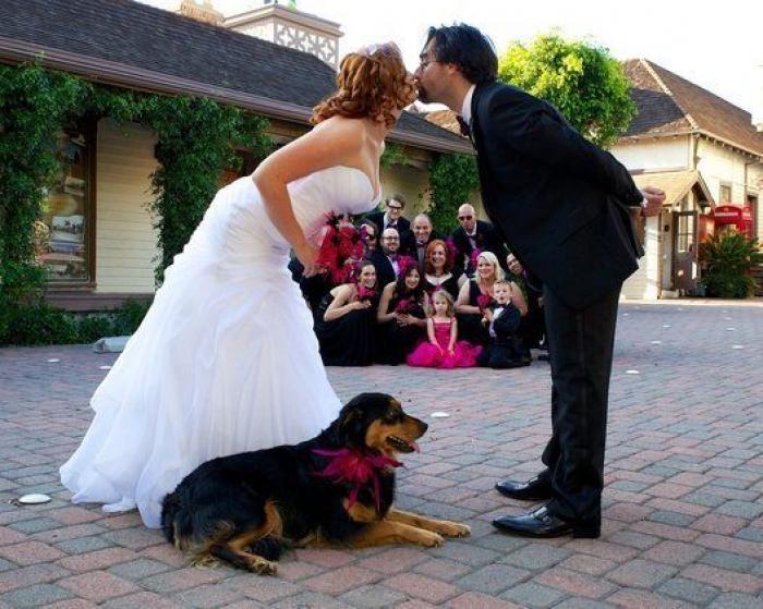 21 momentos emotivos en bodas en los que ni el fotógrafo contuvo las lágrimas