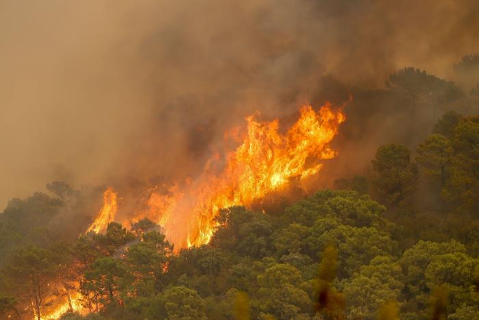 La Fiscalía cree que el incendio de Sierra Bermeja ha sido intencionado