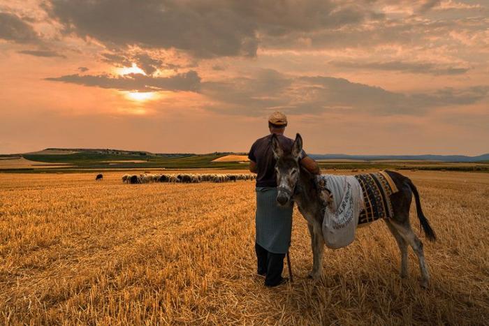 Las mejores fotografías del mundo rural en España