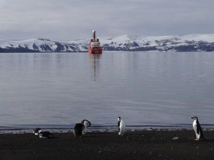 Descubren en la Antártida bacterias "hiperresistentes" a antibióticos