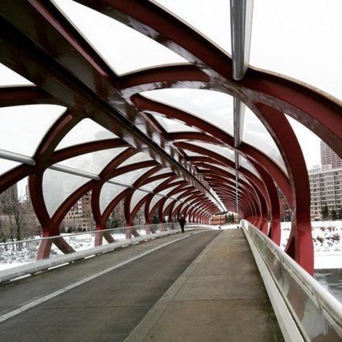 Puentes, pasos y viaductos: fotos de arquitectura para disfrutar (FOTOS)