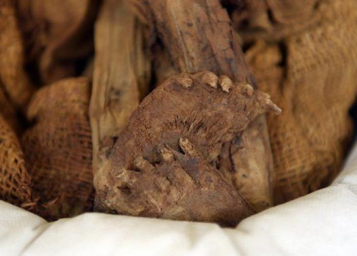 Es la momia de un niño enterrado en Perú hace más de 1.000 años (FOTOS)