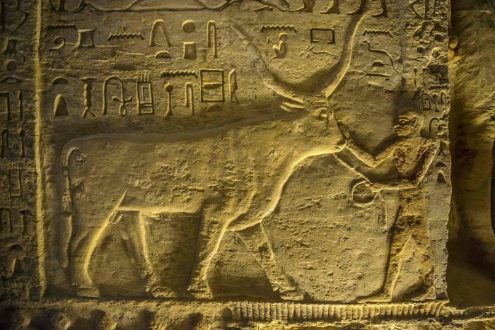 Un auténtico tesoro: hallan 250 sarcófagos intactos en Egipto