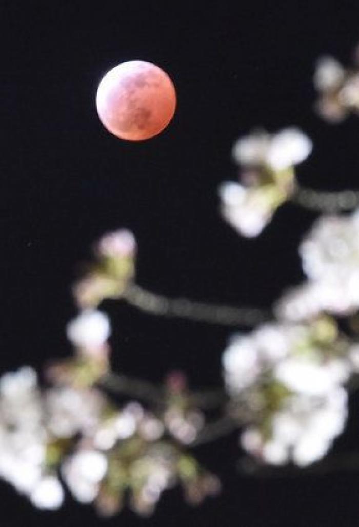 Las impresionantes imágenes de la 'luna de sangre' (FOTOS)