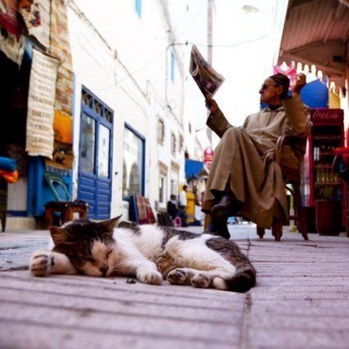 Las calles de Marruecos, una explosión de vida y color (FOTOS)