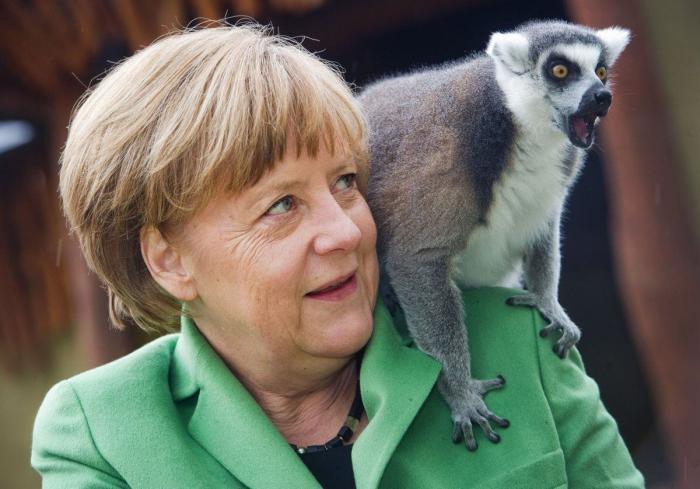 El centrista Laschet sucede a Merkel al frente de la CDU