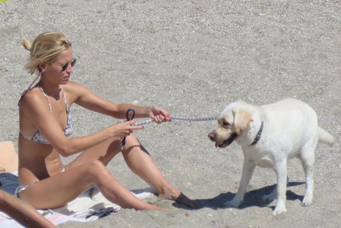Vacaciones con perros en España - Dónde ir, mejores playas