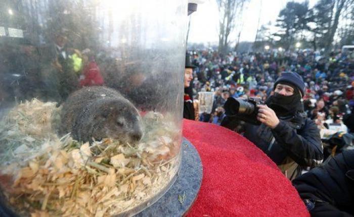 La marmota meteoróloga predice un invierno largo en EEUU