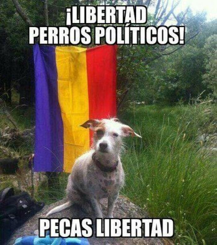 Una concentración en Madrid para pedir la "libertad" del perro de Aguirre (FOTOS)