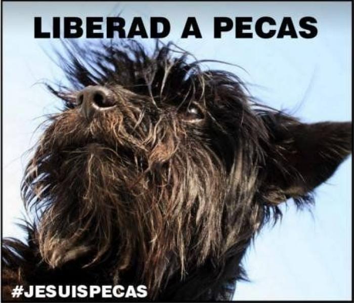 Una concentración en Madrid para pedir la "libertad" del perro de Aguirre (FOTOS)