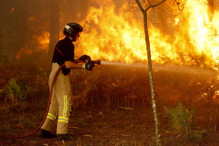 ¿Cuáles son las penas por incendios forestales provocados?