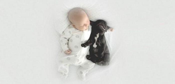 Un bebé y un bulldog francés, amigos inseparables (FOTOS)