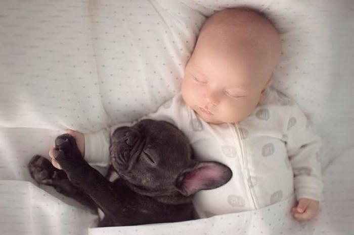 Un bebé y un bulldog francés, amigos inseparables (FOTOS)