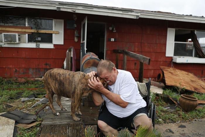 Las conmovedoras fotos de los más peludos durante el huracán Harvey