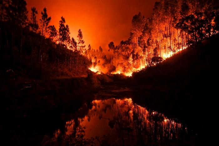 Portugal da por controlado el incendio que ha causado 64 muertos
